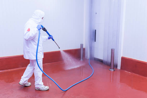 Professional Pressure Washing Services in Walker Valley, NY